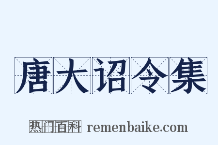 唐大诏令集是什么意思的图片